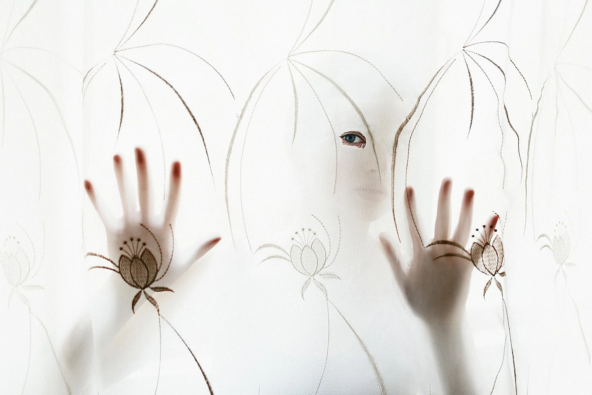 Nerve Cells Recover: How to Regain Focus and Calm