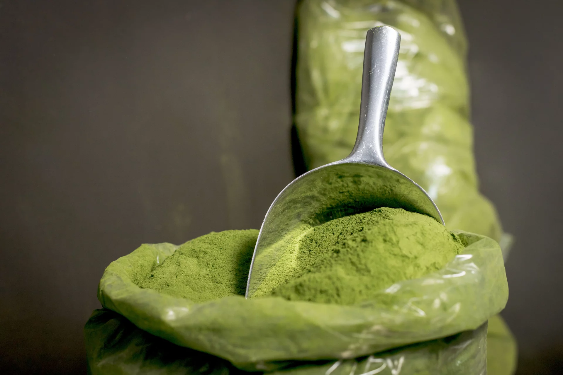 Spirulina